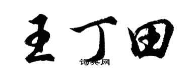 胡問遂王丁田行書個性簽名怎么寫