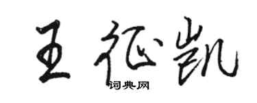 駱恆光王征凱行書個性簽名怎么寫