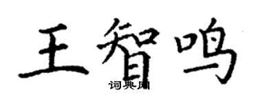 丁謙王智鳴楷書個性簽名怎么寫