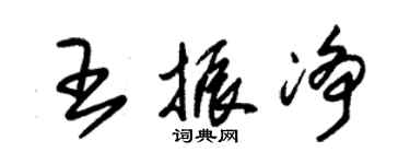 朱錫榮王振淨草書個性簽名怎么寫