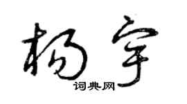 曾慶福楊宇草書個性簽名怎么寫