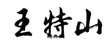 胡問遂王特山行書個性簽名怎么寫