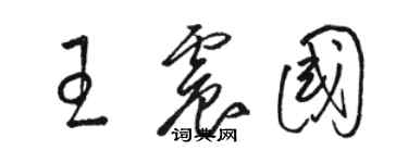 駱恆光王震國草書個性簽名怎么寫