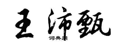 胡問遂王沛甄行書個性簽名怎么寫