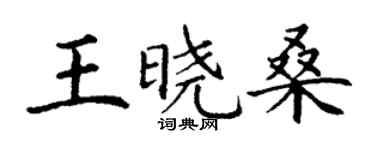 丁謙王曉桑楷書個性簽名怎么寫