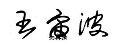 朱錫榮王宙波草書個性簽名怎么寫