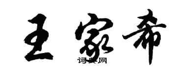 胡問遂王家希行書個性簽名怎么寫