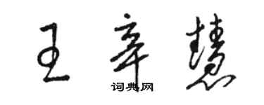 駱恆光王辛慧草書個性簽名怎么寫