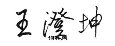 駱恆光王澄坤行書個性簽名怎么寫