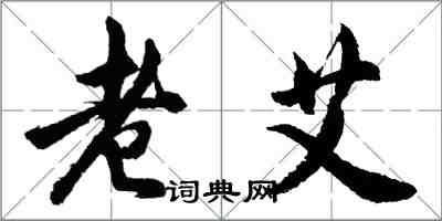 胡問遂老艾行書怎么寫