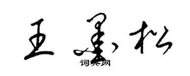 梁錦英王墨松草書個性簽名怎么寫