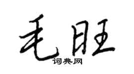 王正良毛旺行書個性簽名怎么寫