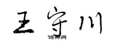 曾慶福王守川行書個性簽名怎么寫