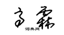 朱錫榮高霖草書個性簽名怎么寫