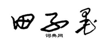 朱錫榮田子墨草書個性簽名怎么寫