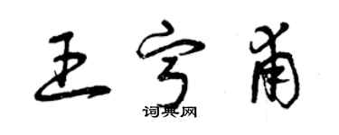 曾慶福王寧甫草書個性簽名怎么寫