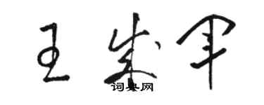 駱恆光王成軍草書個性簽名怎么寫