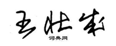 朱錫榮王壯成草書個性簽名怎么寫