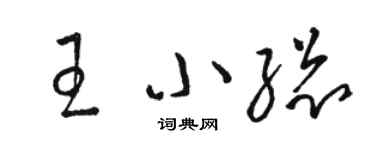 駱恆光王小總草書個性簽名怎么寫