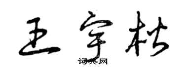 曾慶福王宇楷草書個性簽名怎么寫