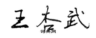 曾慶福王杏武行書個性簽名怎么寫