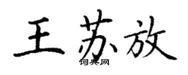 丁謙王蘇放楷書個性簽名怎么寫