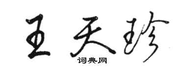 駱恆光王天珍行書個性簽名怎么寫