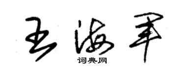 朱錫榮王海軍草書個性簽名怎么寫