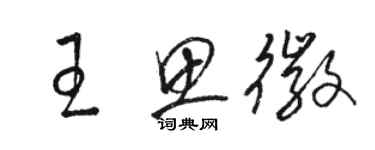 駱恆光王思徽草書個性簽名怎么寫