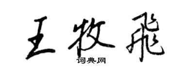 王正良王牧飛行書個性簽名怎么寫