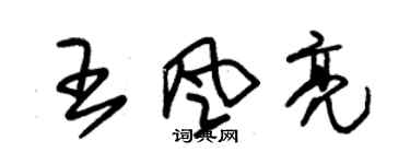 朱錫榮王風亮草書個性簽名怎么寫