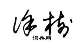朱錫榮徐樹草書個性簽名怎么寫