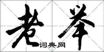 胡問遂老舉行書怎么寫