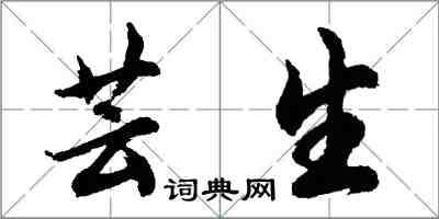 胡問遂芸生行書怎么寫