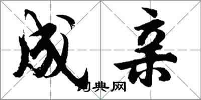 胡問遂成親行書怎么寫