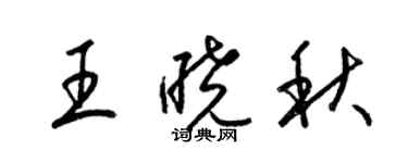 梁錦英王曉秋草書個性簽名怎么寫