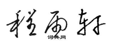 駱恆光程雨軒草書個性簽名怎么寫