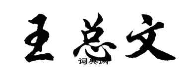 胡問遂王總文行書個性簽名怎么寫