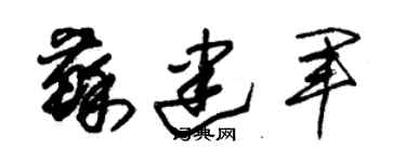 朱錫榮蘇建軍草書個性簽名怎么寫