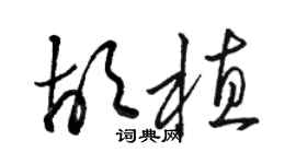 駱恆光胡植草書個性簽名怎么寫