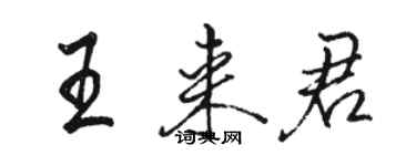 駱恆光王來君行書個性簽名怎么寫