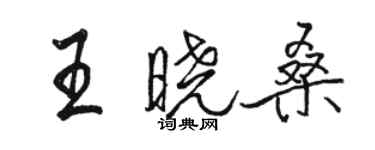 駱恆光王曉桑行書個性簽名怎么寫