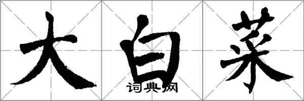 翁闓運大白菜楷書怎么寫