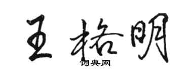 駱恆光王格明行書個性簽名怎么寫