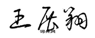 曾慶福王展翔草書個性簽名怎么寫