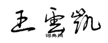 曾慶福王雲凱草書個性簽名怎么寫