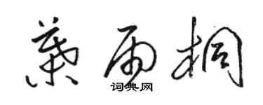 駱恆光葉雨桐草書個性簽名怎么寫