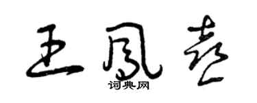曾慶福王鳳喜草書個性簽名怎么寫