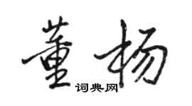 駱恆光董楊行書個性簽名怎么寫