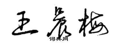 曾慶福王晨梅草書個性簽名怎么寫